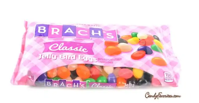 Brach's Classic Jelly Bird Eggs - Brach's Fruit Jelly Beans - 5 lb. - Candy  Favorites