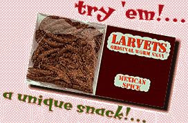 Larvets Mexican Spice Worm Snacks - 24 / Box