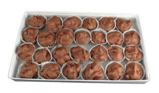 Raisin Chocolate Clusters - 1 Pound Box