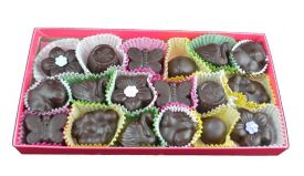 Diva Divine Gourmet Chocolates 8 Ounce Gift Box - 1 Unit